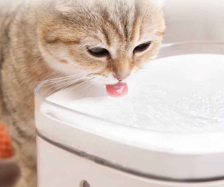 米家智能宠物饮水机不出水解决方法